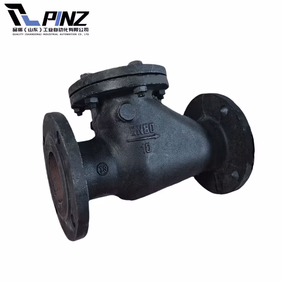 스테인레스 스틸 위생 위생 식품 등급 우유 공압 진공 플랩 다이어프램 안전 밸브 볼 체크 밸브 (JN-BV1001)